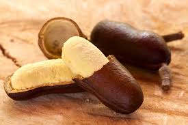 Jatobá: descubra benefícios da casca e outras partes da planta